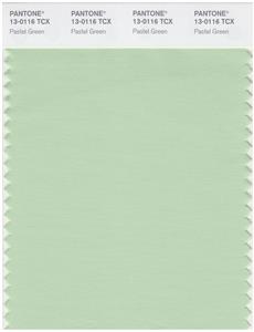 Pantone Smart 13-0116 TCX Color Swatch Card | Pastel Green 