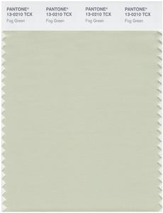 Pantone Smart 13-0210 TCX Color Swatch Card | Fog Green 