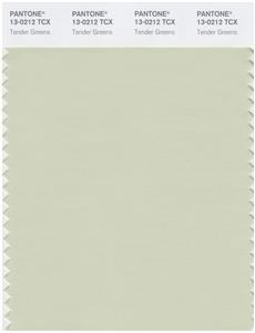 Pantone Smart 13-0212 TCX Color Swatch Card | Tender Greens 