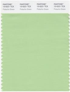 Pantone Smart 13-0221 TCX Color Swatch Card | Pistachio Green 