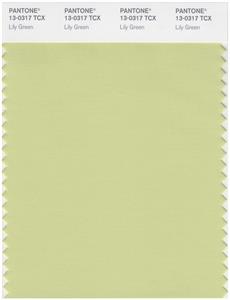 Pantone Smart 13-0317 TCX Color Swatch Card | Lily Green 