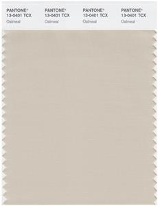 Pantone Smart 13-0401 TCX Color Swatch Card | Oatmeal 