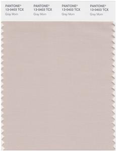 Pantone Smart 13-0403 TCX Color Swatch Card | Gray Morn 