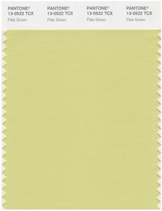 Pantone Smart 13-0522 TCX Color Swatch Card | Pale Green 