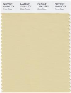 Pantone Smart 13-0613 TCX Color Swatch Card | Chino Green 