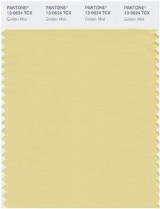 Pantone Smart 13-0624 TCX Color Swatch Card | Golden Mist 