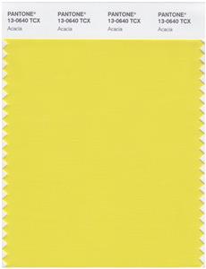 Pantone Smart 13-0640 TCX Color Swatch Card | Acaica 