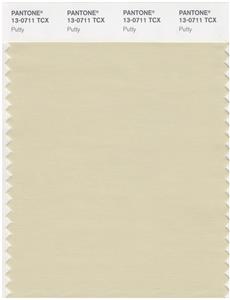 Pantone Smart 13-0711 TCX Color Swatch Card | Putty 