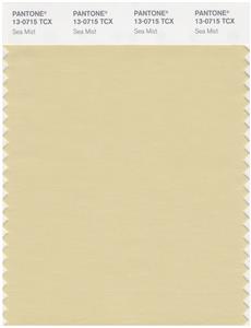 Pantone Smart 13-0715 TCX Color Swatch Card | Sea Mist 