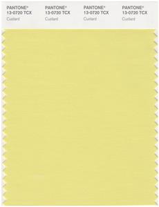 Pantone Smart 13-0720 TCX Color Swatch Card | Custard 