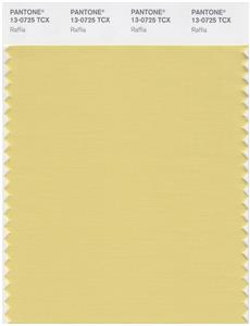 Pantone Smart 13-0725 TCX Color Swatch Card | Raffia 