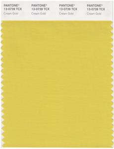 Pantone Smart 13-0739 TCX Color Swatch Card | Cream Gold 