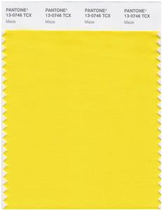 Pantone Smart 13-0746 TCX Color Swatch Card | Maize 