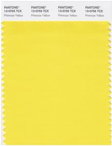 Pantone Smart 13-0755 TCX Color Swatch Card | Primrose Yellow 