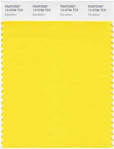 Pantone Smart 13-0758 TCX Color Swatch Card | Dandelion 