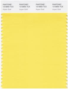 Pantone Smart 13-0850 TCX Color Swatch Card | Aspen Gold 