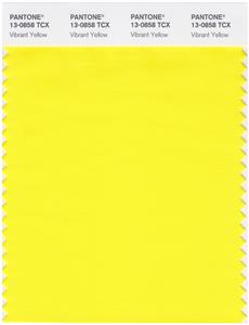 Pantone Smart 13-0858 TCX Color Swatch Card | Vibrant Yellow 