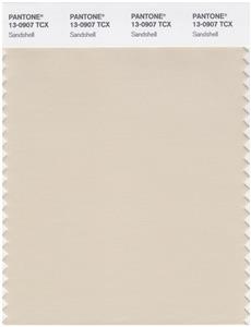 Pantone Smart 13-0907 TCX Color Swatch Card | Sand Shell 