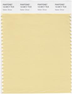 Pantone Smart 13-0917 TCX Color Swatch Card | Italian Straw 