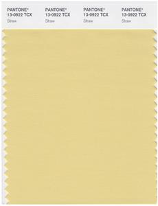 Pantone Smart 13-0922 TCX Color Swatch Card | Straw 