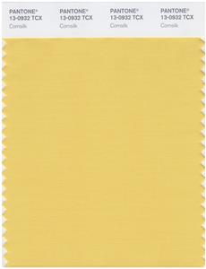 Pantone Smart 13-0932 TCX Color Swatch Card | Cornsilk 