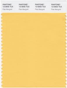 Pantone Smart 13-0945 TCX Color Swatch Card | Pale Marigold 