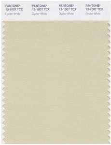 Pantone Smart 13-1007 TCX Color Swatch Card | Oyster White 