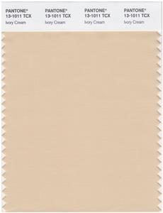 Pantone Smart 13-1011 TCX Color Swatch Card | Ivory Cream 