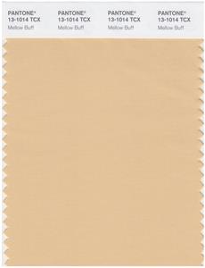 Pantone Smart 13-1014 TCX Color Swatch Card | Mellow Buff 