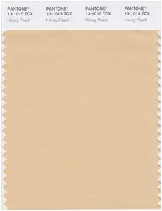 Pantone Smart 13-1015 TCX Color Swatch Card | Honey Peach 