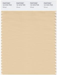 Pantone Smart 13-1016 TCX Color Swatch Card | Wheat 