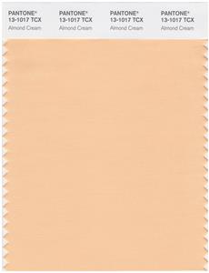 Pantone Smart 13-1017 TCX Color Swatch Card | Almond Cream 