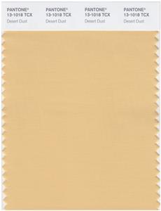 Pantone Smart 13-1018 TCX Color Swatch Card | Desert Dust 