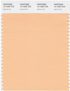 Pantone Smart 13-1020 TCX Color Swatch Card | Apricot Ice 