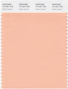 Pantone Smart 13-1021 TCX Color Swatch Card | Prairie Sunset 