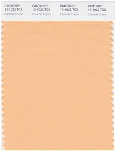 Pantone Smart 13-1022 TCX Color Swatch Card | Caramel Cream 