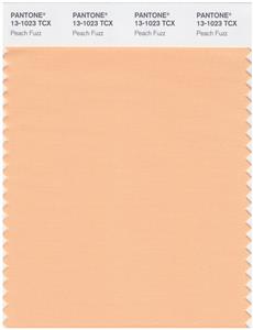 Pantone Smart 13-1023 TCX Color Swatch Card | Peach Fuzz 