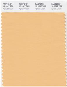 Pantone Smart 13-1027 TCX Color Swatch Card | Apricot Cream 