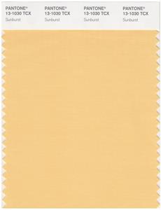 Pantone Smart 13-1030 TCX Color Swatch Card | Sunburt 