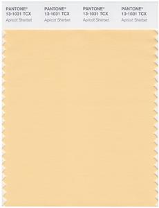 Pantone Smart 13-1031 TCX Color Swatch Card | Apricot Sherbet 