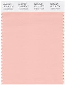 Pantone Smart 13-1318 TCX Color Swatch Card | Tropical Peach 