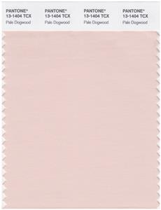 Pantone Smart 13-1404 TCX Color Swatch Card | Pale Dogwood 