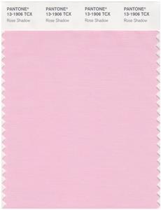 Pantone Smart 13-1906 TCX Color Swatch Card | Rose Shadow 