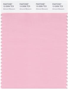 Pantone Smart 13-2006 TCX Color Swatch Card | Almond Blossom 