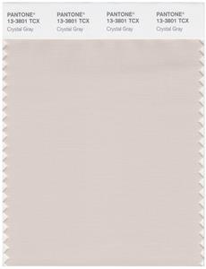 Pantone Smart 13-3801 TCX Color Swatch Card | Crystal Gray 