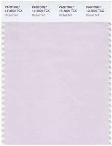 Pantone Smart 13-3802 TCX Color Swatch Card | Orchid Tint 