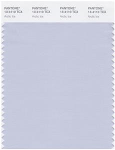 Pantone Smart 13-4110 TCX Color Swatch Card | Arctic Ice 