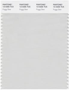 Pantone Smart 13-4305 TCX Color Swatch Card | Foggy Dew 