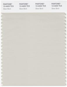 Pantone Smart 13-4403 TCX Color Swatch Card | Silver Birch 