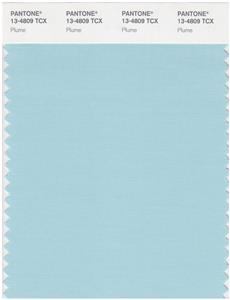 Pantone Smart 13-4809 TCX Color Swatch Card | Plume 